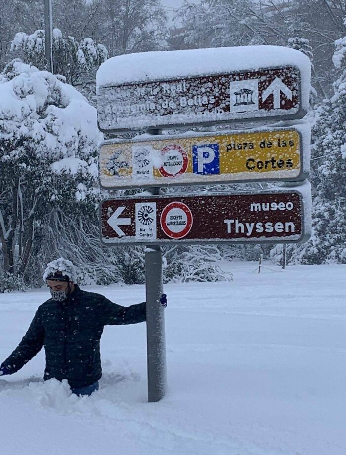 Spain Is Currently Witnessing Their Biggest Snowfall In Decades And This Is How The Unusual Sight Looks Spain Is Currently Witnessing Their Biggest Snowfall In Decades And This Is How The Unusual Sight Looks
