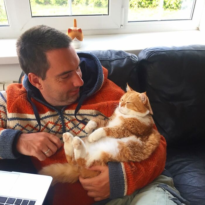 This Happy Chonk From Russia Loves Snow, And His Photos Are Adorable (27 Pics) This Happy Chonk From Russia Loves Snow, And His Photos Are Adorable (27 Pics)