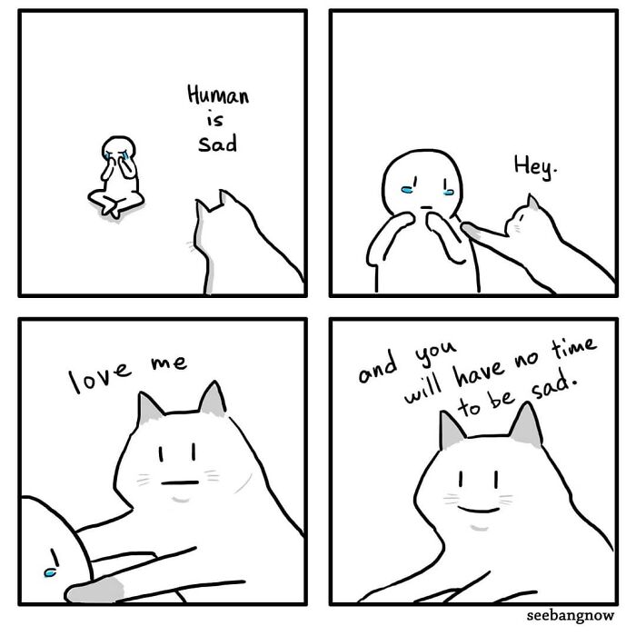 30 Comics That Show What Living With A Cat Is Really Like, By Xibang 30 Comics That Show What Living With A Cat Is Really Like, By Xibang