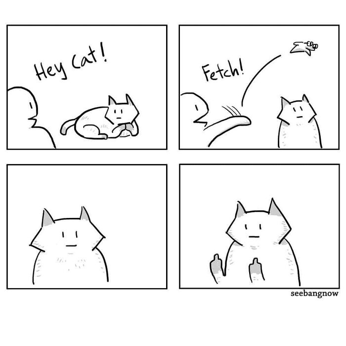 30 Comics That Show What Living With A Cat Is Really Like, By Xibang 30 Comics That Show What Living With A Cat Is Really Like, By Xibang