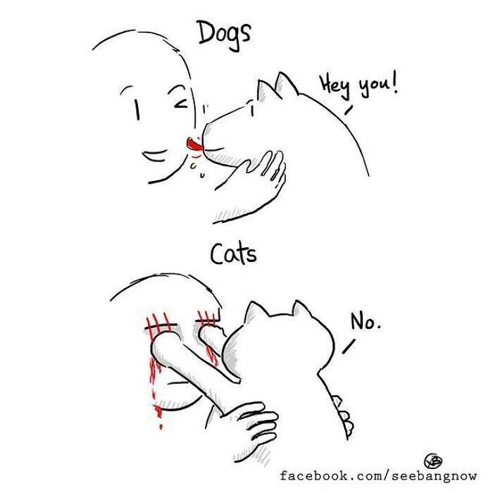 30 Comics That Show What Living With A Cat Is Really Like, By Xibang 30 Comics That Show What Living With A Cat Is Really Like, By Xibang
