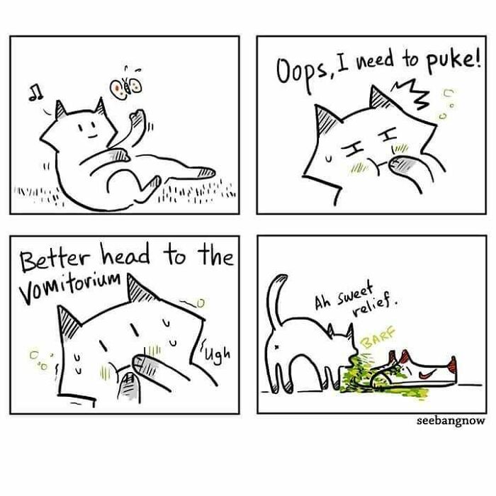 30 Comics That Show What Living With A Cat Is Really Like, By Xibang 30 Comics That Show What Living With A Cat Is Really Like, By Xibang