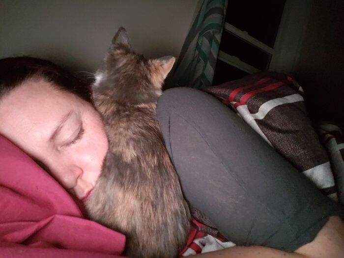 Hey Pandas, Capture A Picture Of Your Pet Sleeping (Closed) Hey Pandas, Capture A Picture Of Your Pet Sleeping (Closed)