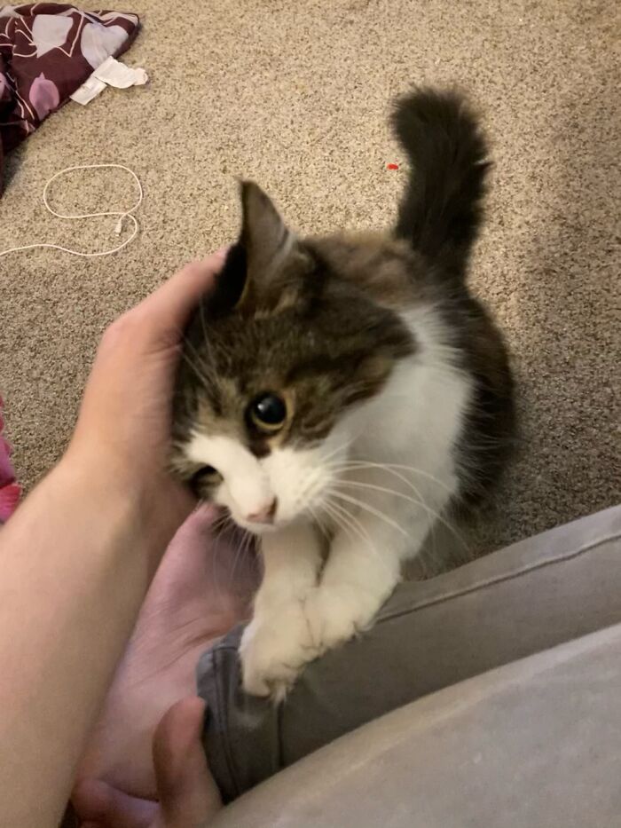 Hey Pandas, Post A Picture Of Your Kid And Your Pet (Close) Hey Pandas, Post A Picture Of Your Kid And Your Pet (Close)