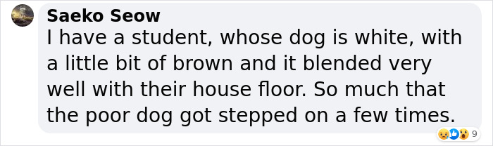 Woman Gets 2 New Dogs, Finds Out They Perfectly Match Her Couch Woman Gets 2 New Dogs, Finds Out They Perfectly Match Her Couch