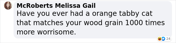 Woman Gets 2 New Dogs, Finds Out They Perfectly Match Her Couch Woman Gets 2 New Dogs, Finds Out They Perfectly Match Her Couch