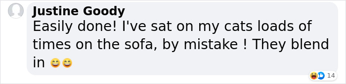 Woman Gets 2 New Dogs, Finds Out They Perfectly Match Her Couch Woman Gets 2 New Dogs, Finds Out They Perfectly Match Her Couch