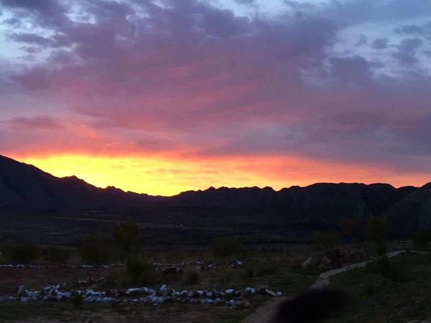 Hey Pandas, Share Your Best Picture Taken During The Lockdown (Closed) Hey Pandas, Share Your Best Picture Taken During The Lockdown (Closed)