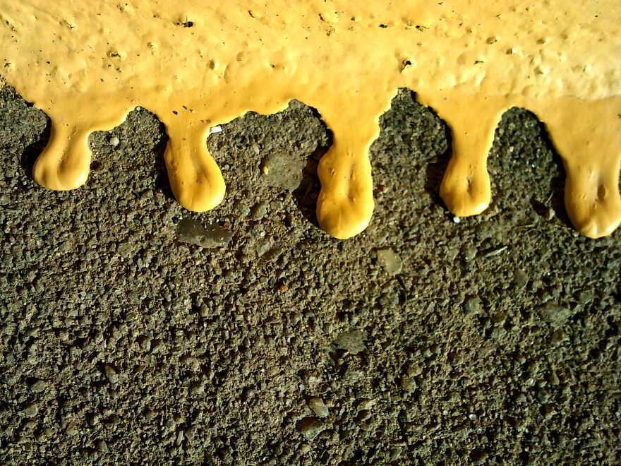 Hey Pandas, Share Your Best Picture Taken During The Lockdown (Closed) Hey Pandas, Share Your Best Picture Taken During The Lockdown (Closed)