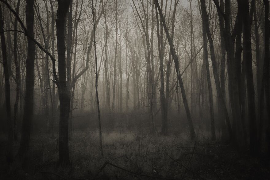 Hey Pandas, Share Your Best Picture Taken During The Lockdown (Closed) Hey Pandas, Share Your Best Picture Taken During The Lockdown (Closed)