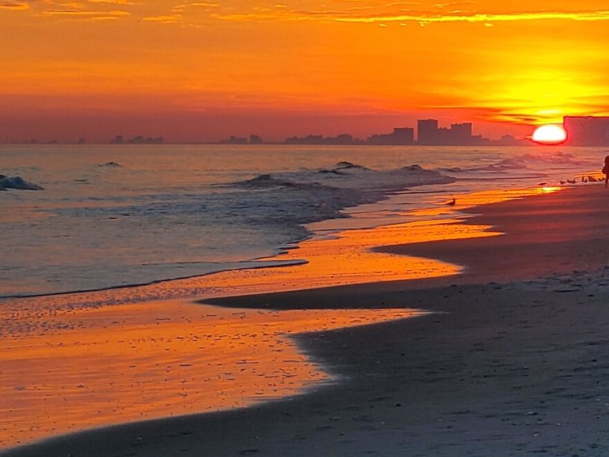 Hey Pandas, Share Your Best Picture Taken During The Lockdown (Closed) Hey Pandas, Share Your Best Picture Taken During The Lockdown (Closed)