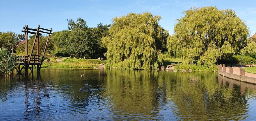 Hey Pandas, Share Your Best Picture Taken During The Lockdown (Closed) Hey Pandas, Share Your Best Picture Taken During The Lockdown (Closed)
