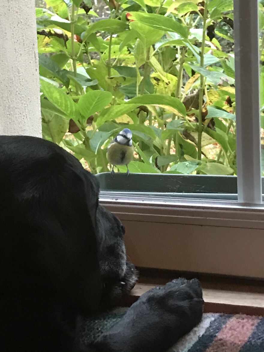 Hey Pandas, Share Your Best Picture Taken During The Lockdown (Closed) Hey Pandas, Share Your Best Picture Taken During The Lockdown (Closed)