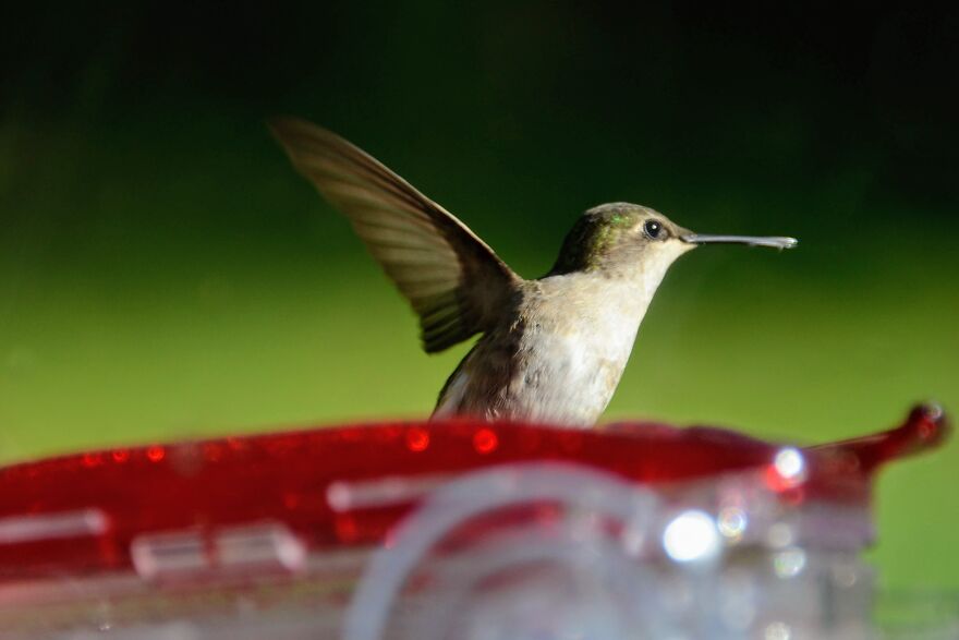 Hey Pandas, Share Your Best Picture Taken During The Lockdown (Closed) Hey Pandas, Share Your Best Picture Taken During The Lockdown (Closed)