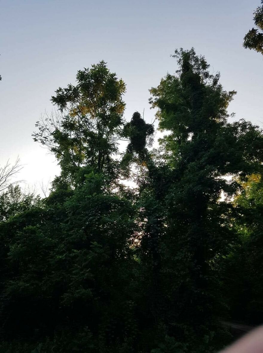 Hey Pandas, Share Your Best Picture Taken During The Lockdown (Closed) Hey Pandas, Share Your Best Picture Taken During The Lockdown (Closed)