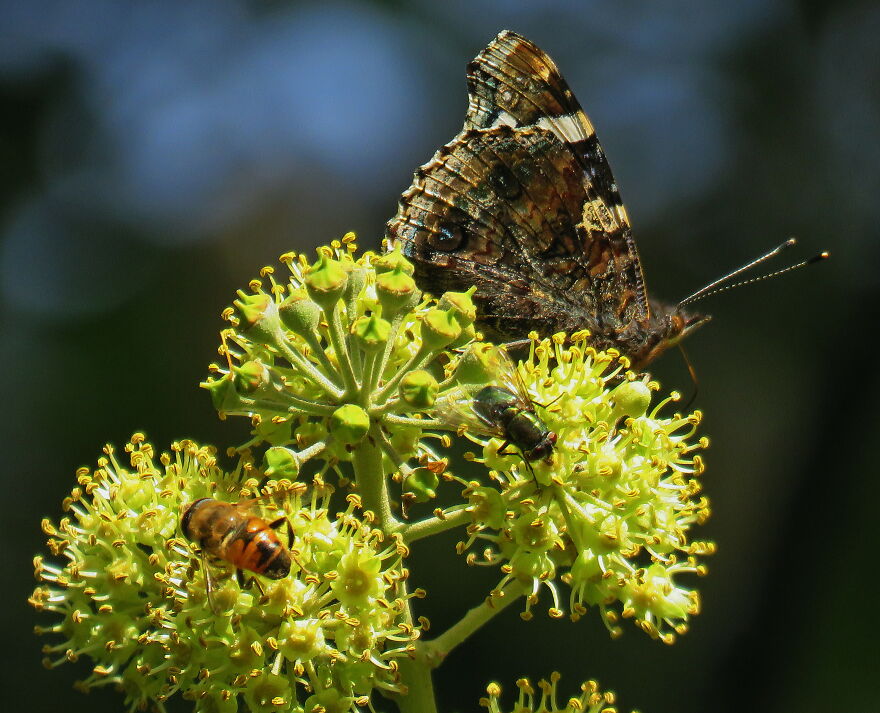 Hey Pandas, Share Your Best Picture Taken During The Lockdown (Closed) Hey Pandas, Share Your Best Picture Taken During The Lockdown (Closed)