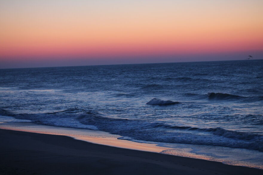 Hey Pandas, Share Your Best Picture Taken During The Lockdown (Closed) Hey Pandas, Share Your Best Picture Taken During The Lockdown (Closed)