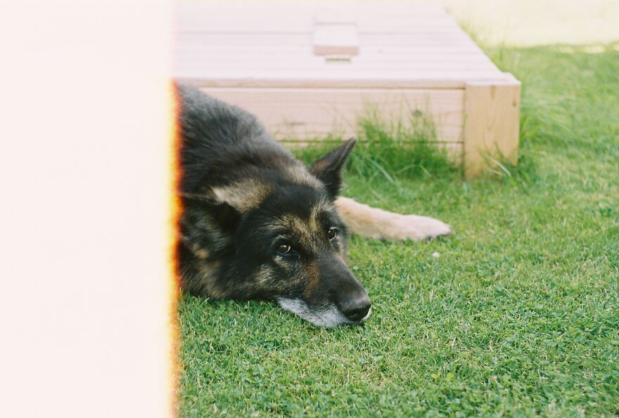 Hey Pandas, Share Your Best Picture Taken During The Lockdown (Closed) Hey Pandas, Share Your Best Picture Taken During The Lockdown (Closed)