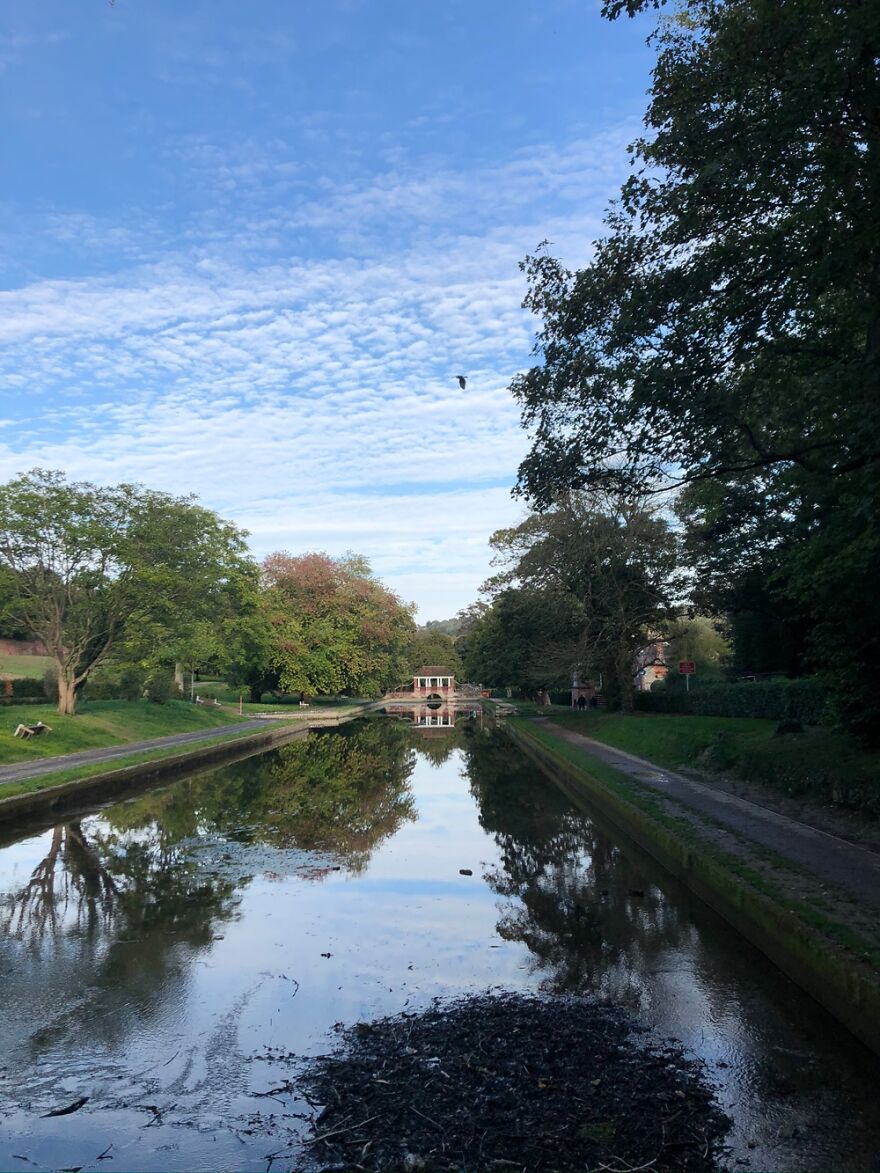 Hey Pandas, Share Your Best Picture Taken During The Lockdown (Closed) Hey Pandas, Share Your Best Picture Taken During The Lockdown (Closed)