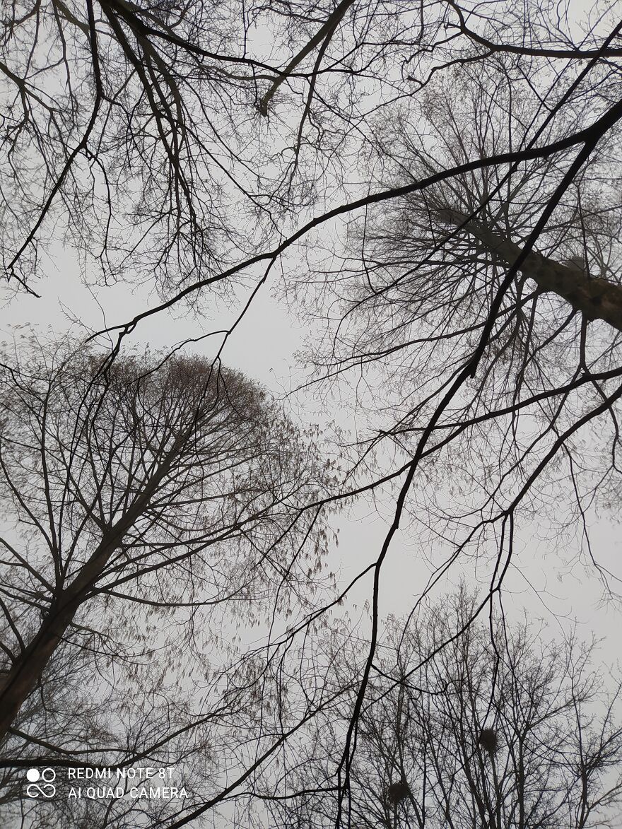 Hey Pandas, Share Your Best Picture Taken During The Lockdown (Closed) Hey Pandas, Share Your Best Picture Taken During The Lockdown (Closed)