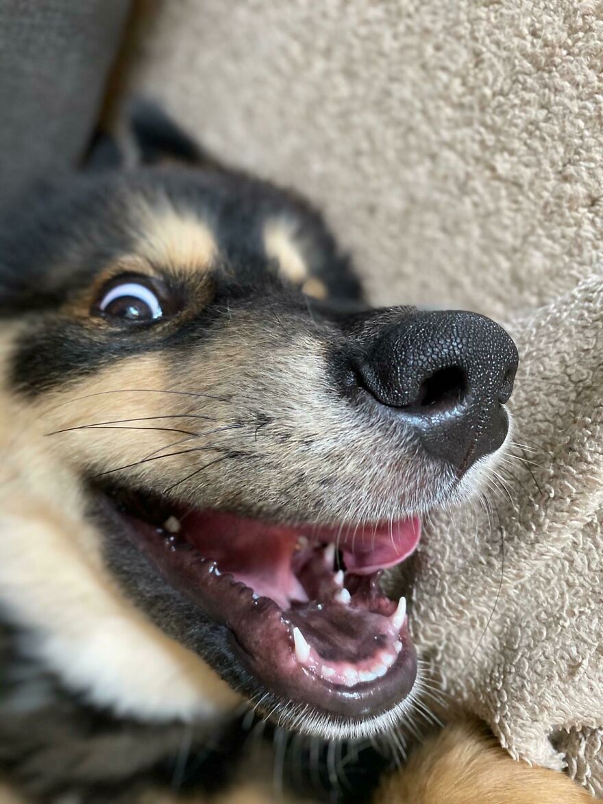 Hey Pandas, Share Your Best Picture Taken During The Lockdown (Closed) Hey Pandas, Share Your Best Picture Taken During The Lockdown (Closed)