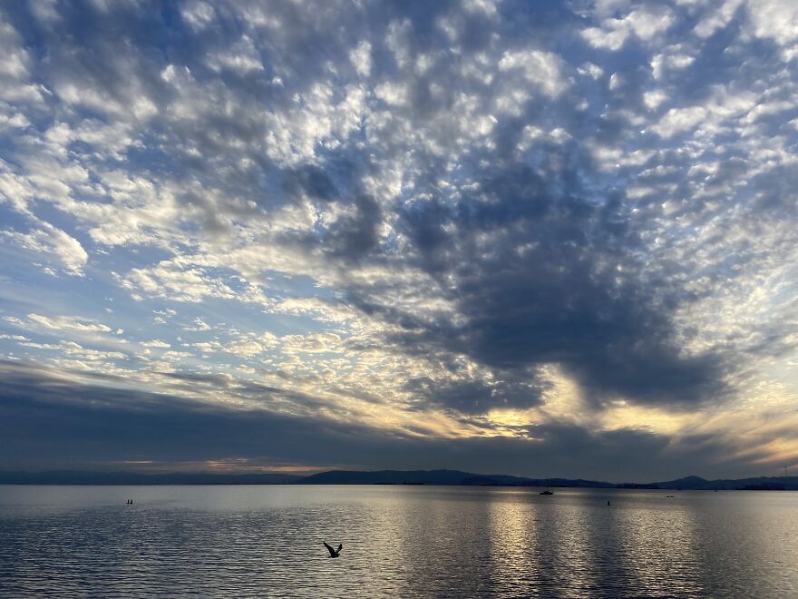 Hey Pandas, Share Your Best Picture Taken During The Lockdown (Closed) Hey Pandas, Share Your Best Picture Taken During The Lockdown (Closed)