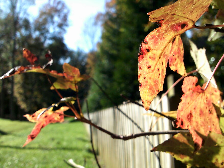 Hey Pandas, Share Your Best Picture Taken During The Lockdown (Closed) Hey Pandas, Share Your Best Picture Taken During The Lockdown (Closed)