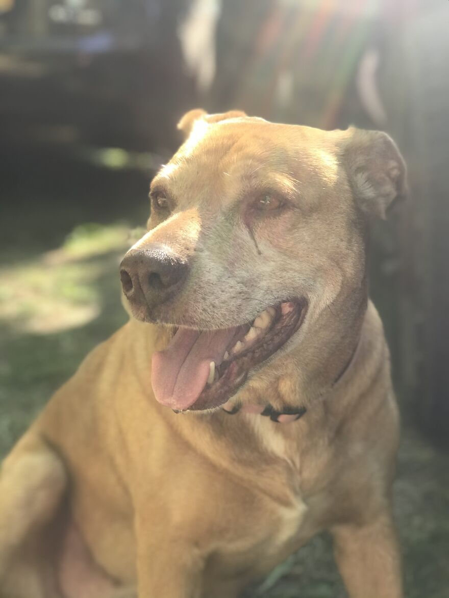 Hey Pandas, Share Your Best Picture Taken During The Lockdown (Closed) Hey Pandas, Share Your Best Picture Taken During The Lockdown (Closed)