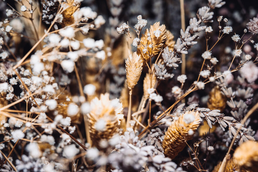 Hey Pandas, Share Your Best Picture Taken During The Lockdown (Closed) Hey Pandas, Share Your Best Picture Taken During The Lockdown (Closed)