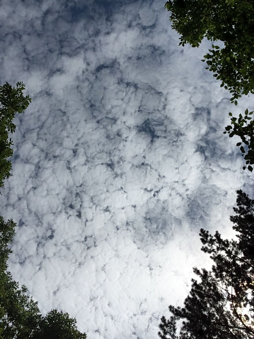 Hey Pandas, Share Your Best Picture Taken During The Lockdown (Closed) Hey Pandas, Share Your Best Picture Taken During The Lockdown (Closed)