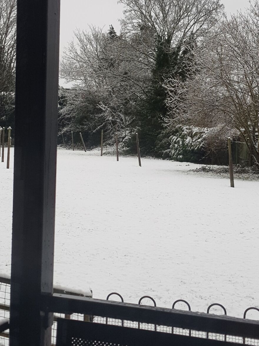 Hey Pandas, Share Your Best Picture Taken During The Lockdown (Closed) Hey Pandas, Share Your Best Picture Taken During The Lockdown (Closed)