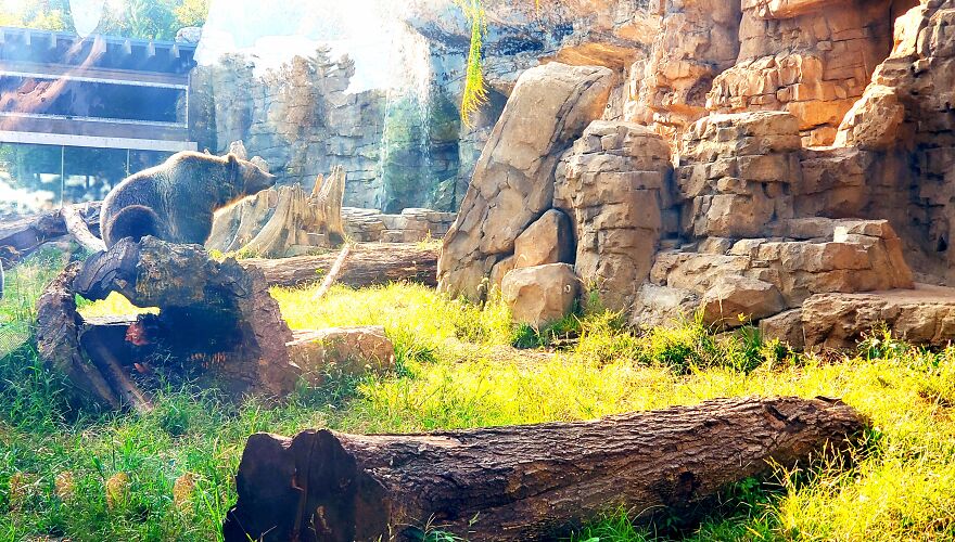 Hey Pandas, Share Your Best Picture Taken During The Lockdown (Closed) Hey Pandas, Share Your Best Picture Taken During The Lockdown (Closed)