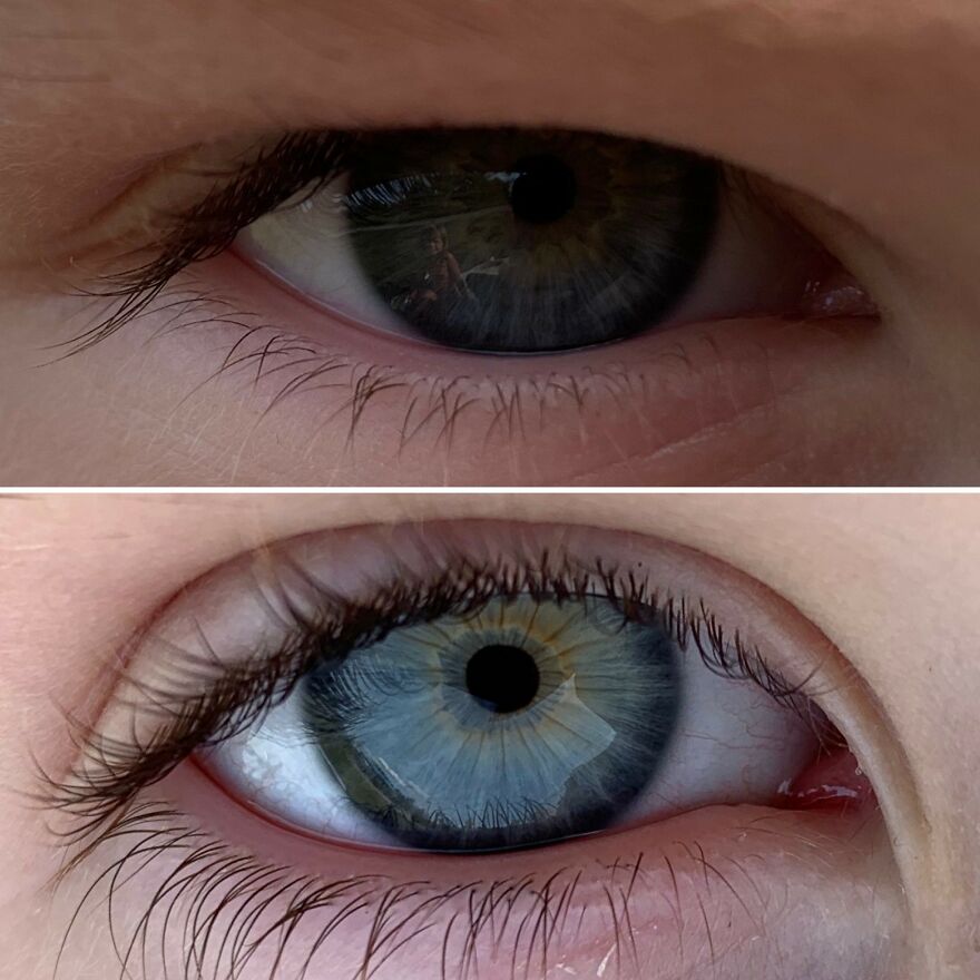 Hey Pandas, Share Your Best Picture Taken During The Lockdown (Closed) Hey Pandas, Share Your Best Picture Taken During The Lockdown (Closed)