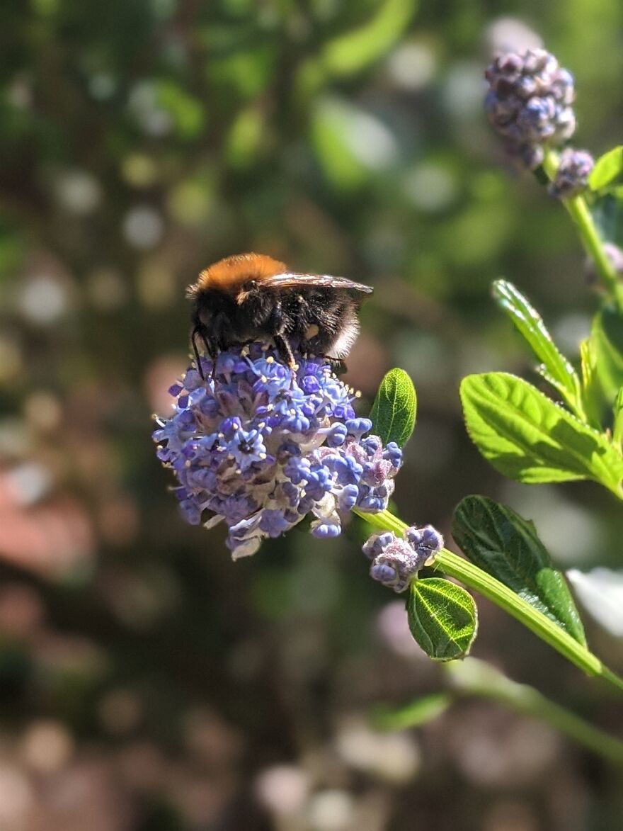 Hey Pandas, Share Your Best Picture Taken During The Lockdown (Closed) Hey Pandas, Share Your Best Picture Taken During The Lockdown (Closed)