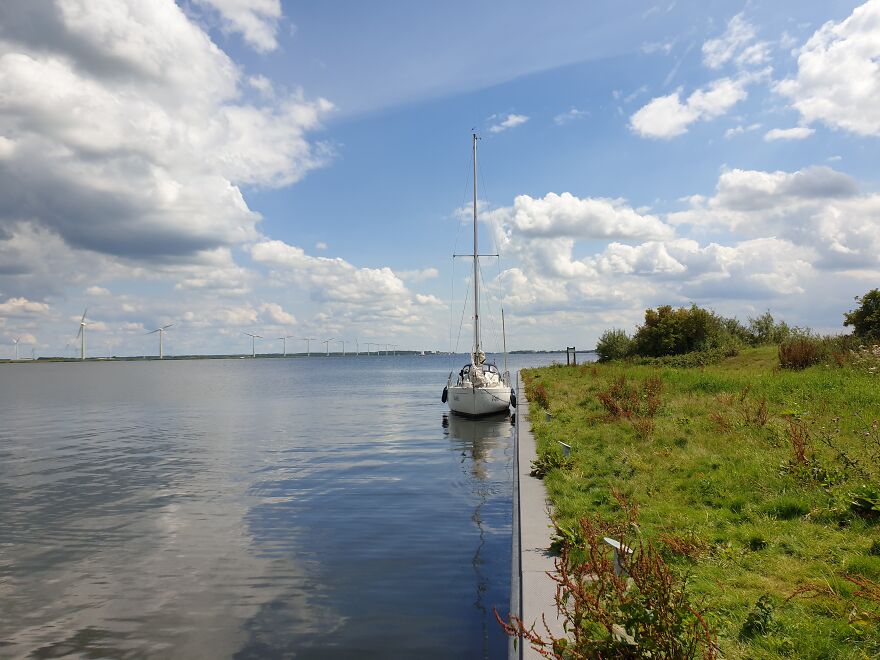Hey Pandas, Share Your Best Picture Taken During The Lockdown (Closed) Hey Pandas, Share Your Best Picture Taken During The Lockdown (Closed)