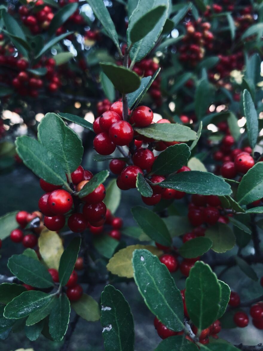 Hey Pandas, Share Your Best Picture Taken During The Lockdown (Closed) Hey Pandas, Share Your Best Picture Taken During The Lockdown (Closed)