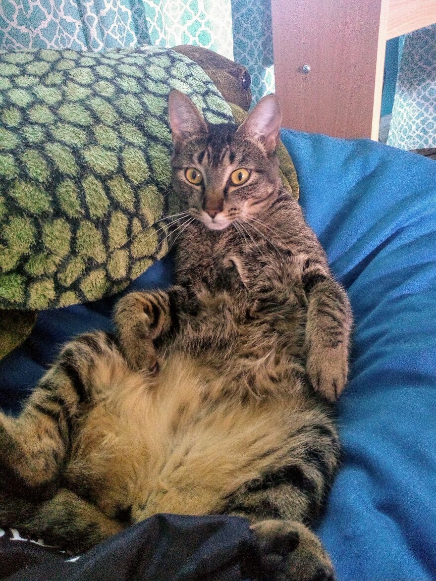 Hey Pandas, Share Your Best Picture Taken During The Lockdown (Closed) Hey Pandas, Share Your Best Picture Taken During The Lockdown (Closed)