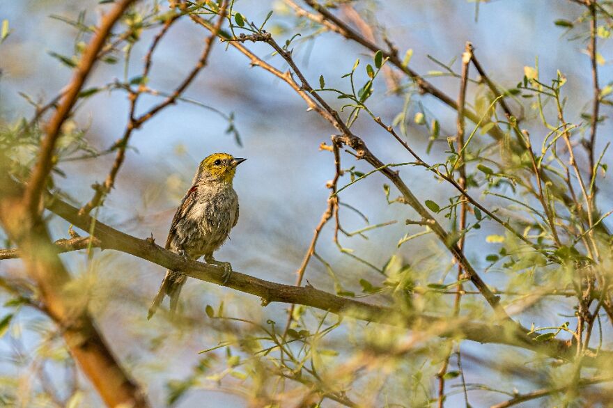 Hey Pandas, Share Your Best Picture Taken During The Lockdown (Closed) Hey Pandas, Share Your Best Picture Taken During The Lockdown (Closed)