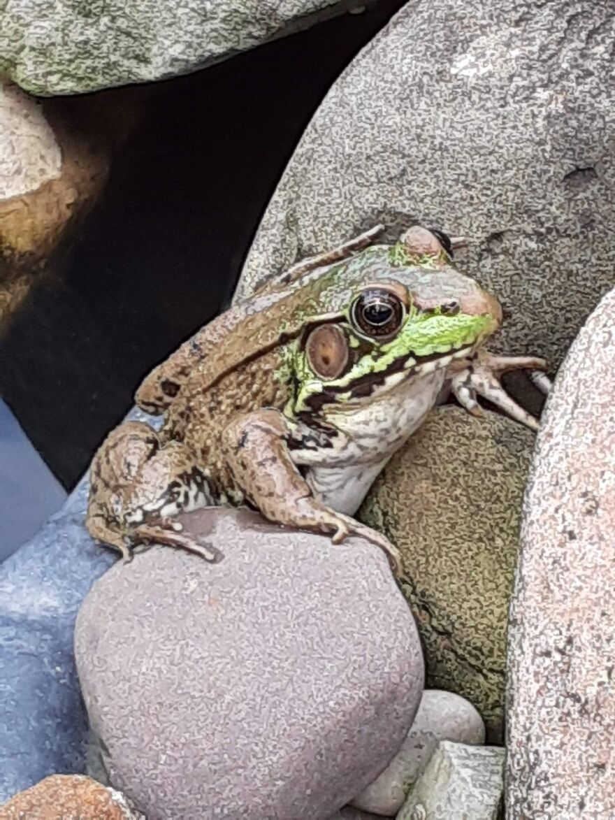 Hey Pandas, Share Your Best Picture Taken During The Lockdown (Closed) Hey Pandas, Share Your Best Picture Taken During The Lockdown (Closed)