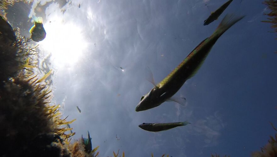 Hey Pandas, Share Your Best Picture Taken During The Lockdown (Closed) Hey Pandas, Share Your Best Picture Taken During The Lockdown (Closed)