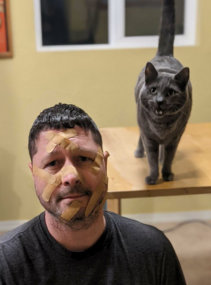 People Are Posting Their “Shoulder Animals”, And Here Are 50 Of The Cutest Ones People Are Posting Their “Shoulder Animals”, And Here Are 50 Of The Cutest Ones