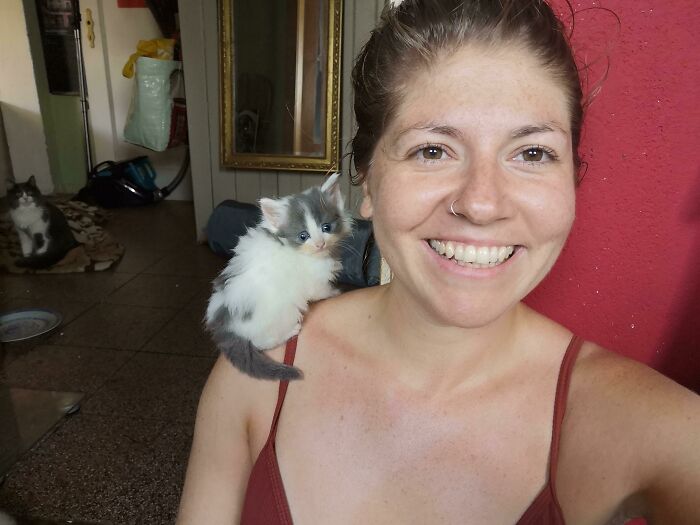 People Are Posting Their “Shoulder Animals”, And Here Are 50 Of The Cutest Ones People Are Posting Their “Shoulder Animals”, And Here Are 50 Of The Cutest Ones