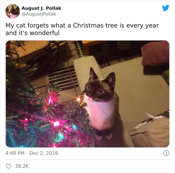 Hey Pandas, What Is The Funniest Tweet You’ve Read? (Closed) Hey Pandas, What Is The Funniest Tweet You’ve Read? (Closed)