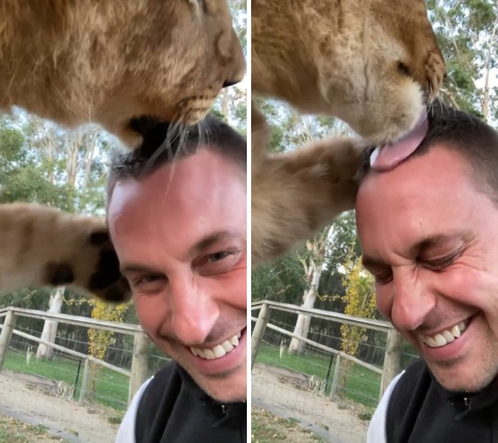 Australian Zookeeper Shares The Behind-The-Scenes Of Running A Wildlife Park (21 Pics) Australian Zookeeper Shares The Behind-The-Scenes Of Running A Wildlife Park (21 Pics)