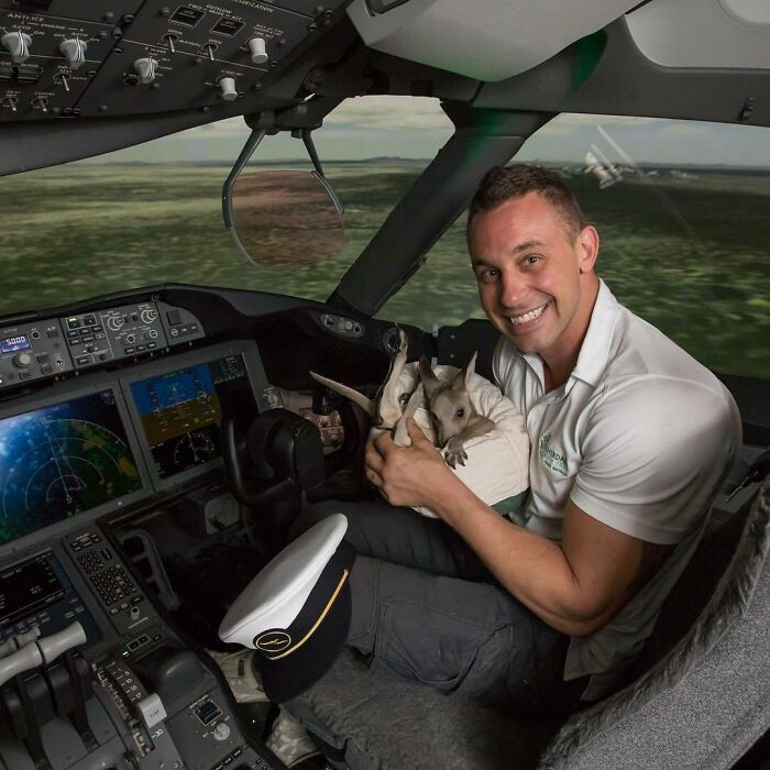 Australian Zookeeper Shares The Behind-The-Scenes Of Running A Wildlife Park (21 Pics) Australian Zookeeper Shares The Behind-The-Scenes Of Running A Wildlife Park (21 Pics)