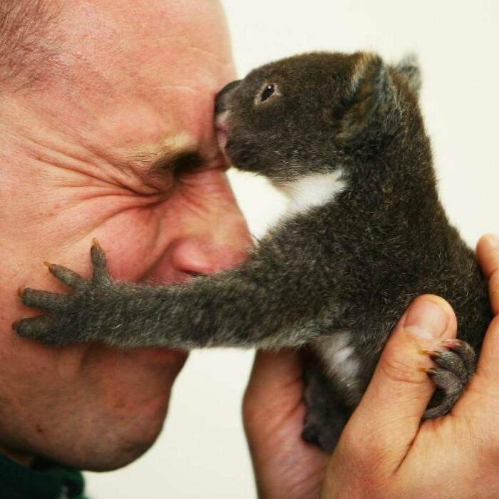 Australian Zookeeper Shares The Behind-The-Scenes Of Running A Wildlife Park (21 Pics) Australian Zookeeper Shares The Behind-The-Scenes Of Running A Wildlife Park (21 Pics)