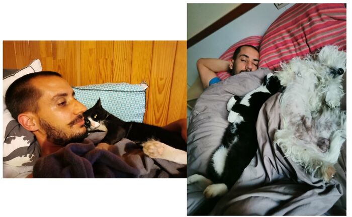 Pandas, Post A Picture Of When You Got Your Pet And Now (Closed) Pandas, Post A Picture Of When You Got Your Pet And Now (Closed)