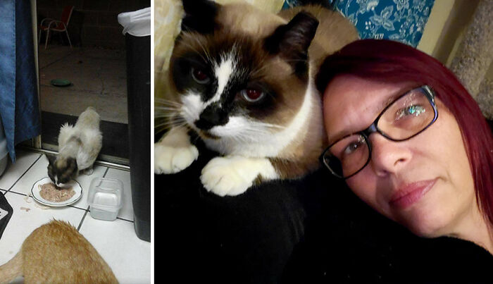 Pandas, Post A Picture Of When You Got Your Pet And Now (Closed) Pandas, Post A Picture Of When You Got Your Pet And Now (Closed)