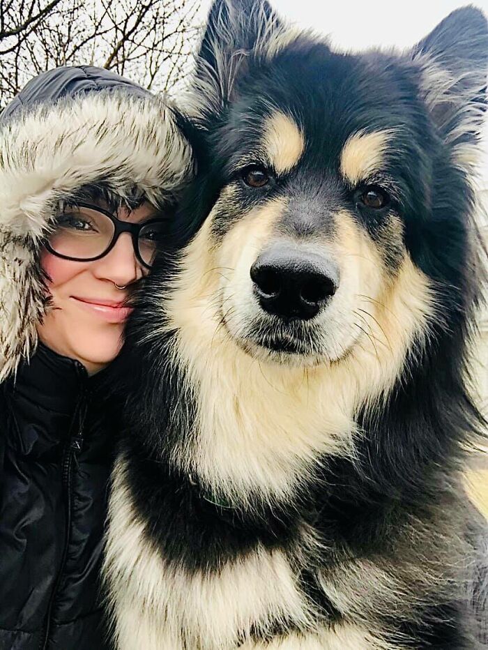 #ModelChallenge On Facebook Has People Sharing The Most Modelesque Pics Of Their Doggies (50 Pics) #ModelChallenge On Facebook Has People Sharing The Most Modelesque Pics Of Their Doggies (50 Pics)