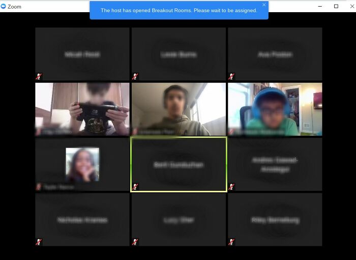 Pandas, Upload A Picture/Screenshot Of Some Of The Weirdest Things You&rsquo;ve Seen On Your Zoom Classes (Closed)